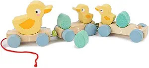 Classic Wooden Pull Along Toy - 9pc Duck Family Set : 1 Mother Duck, 2 Baby Ducks , 3 Eggs and 3 ... | Amazon (US)