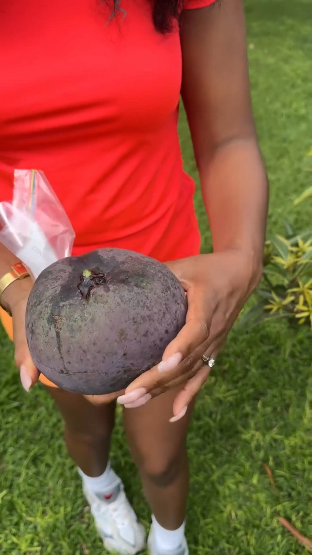 After my 12K steps, we pick mangoes from the garden. Treat your body good inside and out.

#LTKfitnessgoals #LTKselfcare #LTKfoodie