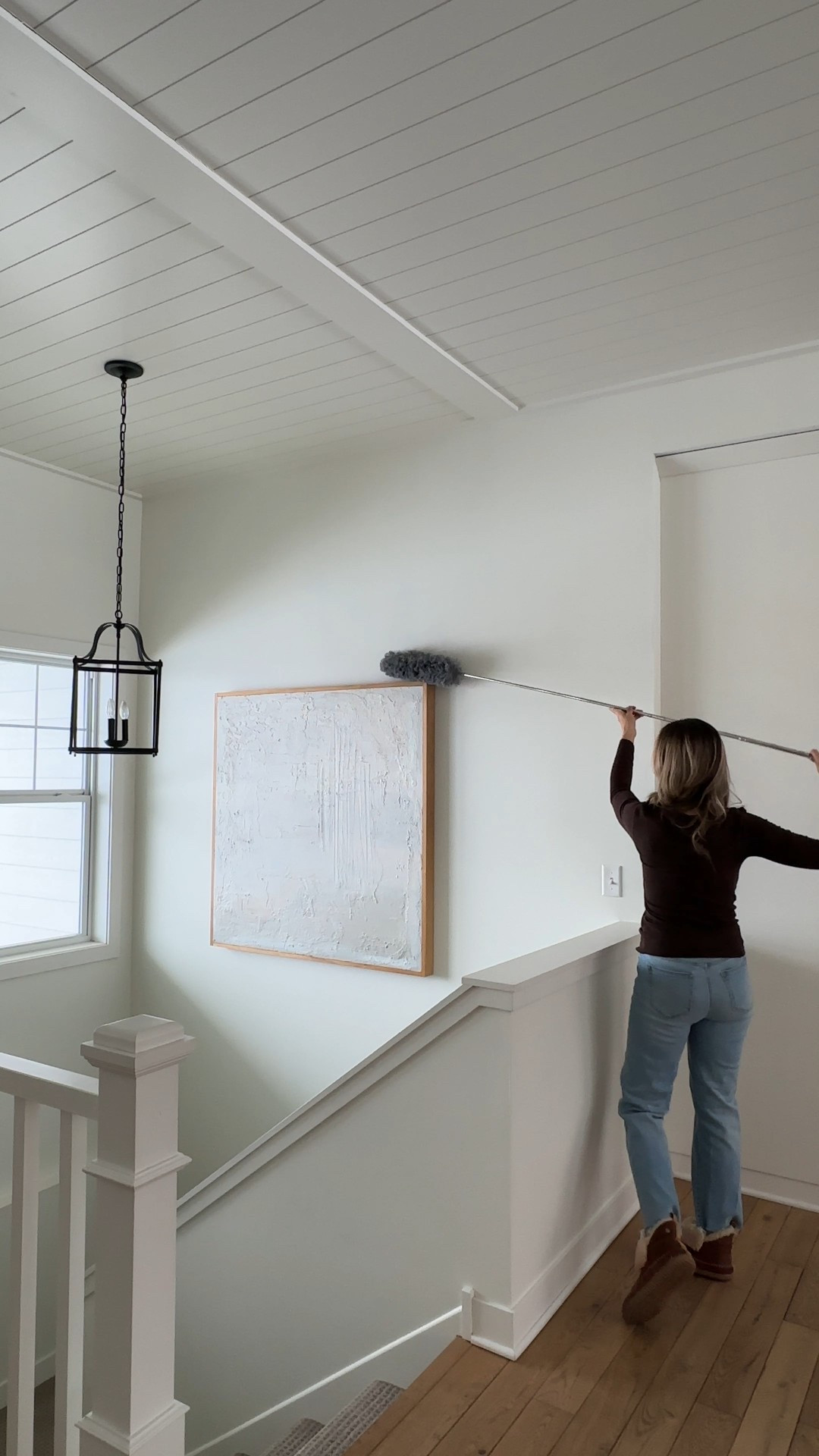 This long handled dusting brush- a must! 

#LTKHome #LTKSaleAlert