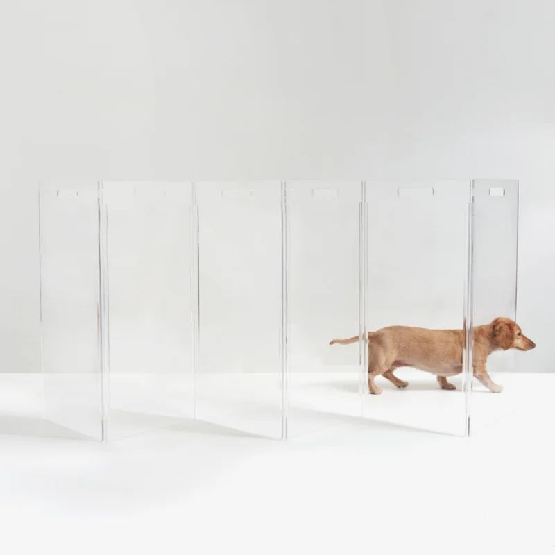 Zig Zag Clear Free Standing Pet Gate | Wayfair North America