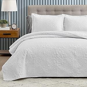 Hansleep White Quilt Queen Size Bedding Set, Lightweight Coverlet Queen Size, Ultrasonic Queen or... | Amazon (US)
