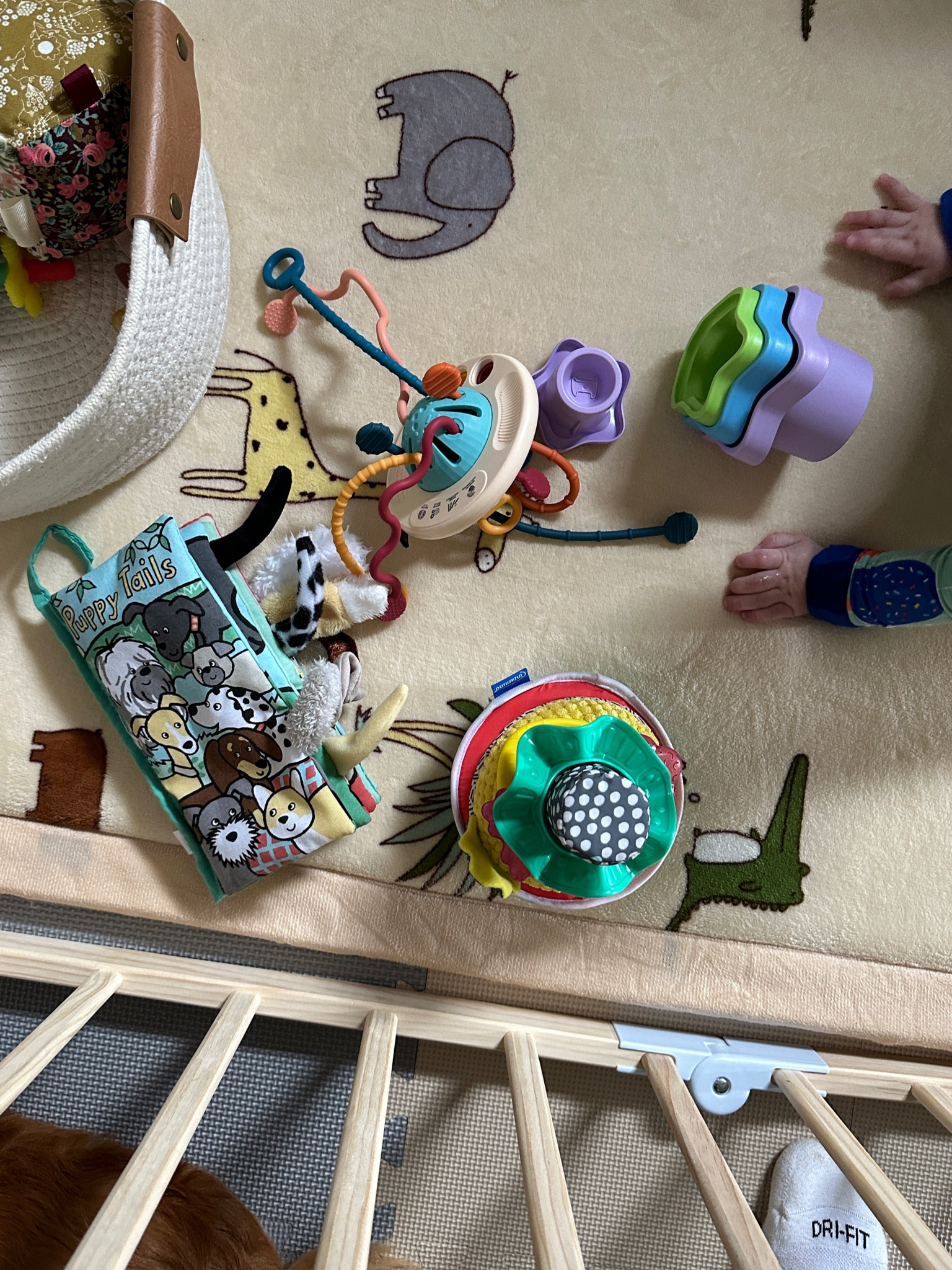 Some of our current favorite toys 

#LTKfamily #LTKkids #LTKbaby