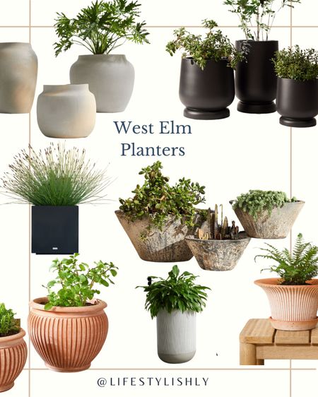 Curated selection of west, Elms diverse planters, blending form and function in various types sizes and designs. Perfect for stylish, outdoor decor.

#LTKFind #LTKhome #LTKSeasonal