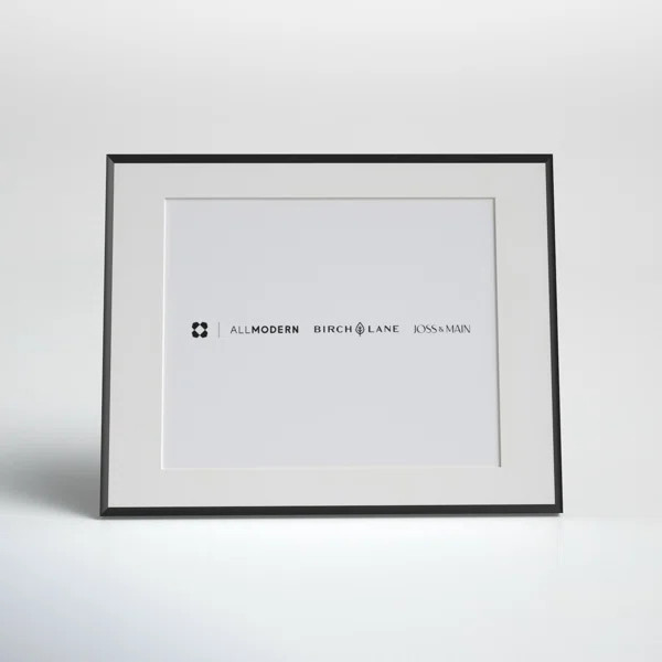 Feronia Metal Picture Frame with Mat | Wayfair North America