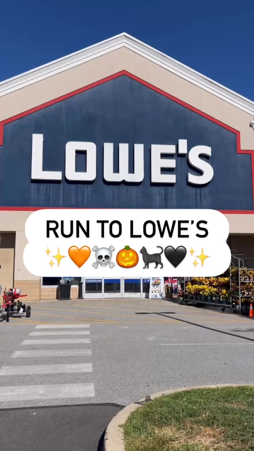 Casper and Donald Duck are so cute! 

#LTKStyleTip #LTKSeasonal #LTKHome