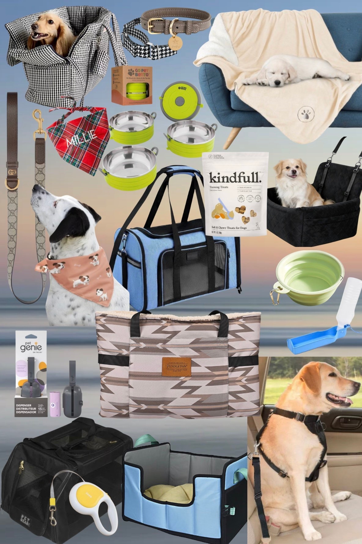 Travel With Your Dog Made Easy | Must-Have Pet Travel Essentials

#LTKdayinmylife #LTKHome #LTKActive