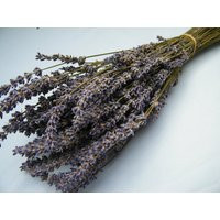 French Dried Lavender Bunch From Provence | Etsy (UK)