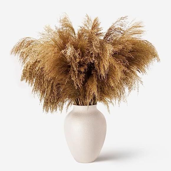 HUMINBO Coffee Table Decor Dried-Pampas-Grass Decor Fluffy-Pompas-Floral-50-Stems Small-Pompous-B... | Amazon (US)