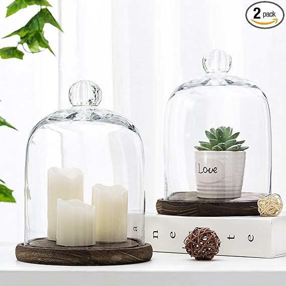 MyGift Clear Cloche Glass Dome, Display Bell Jar with Top Handle and Rustic Brown Solid Wood Base... | Amazon (US)