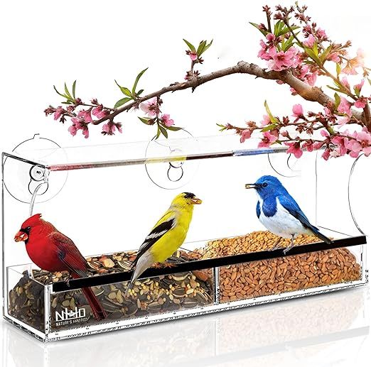 Window Bird Feeders with Strong Suction Cups, Clear Window Bird Feeder for Outside - Transparent ... | Amazon (US)