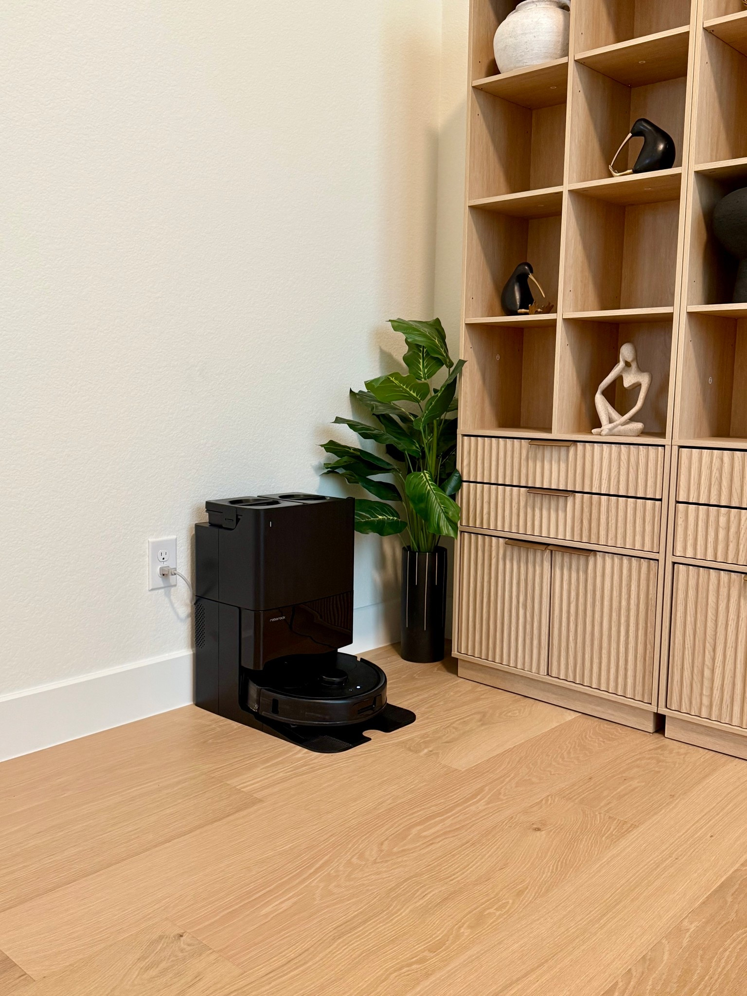 Roborock Vacuum & Mop