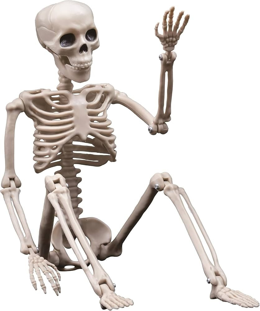 Halloween Skeleton Decorations - 16inch Plastic Full Body Posable Skeleton, Small Hanging Skeleto... | Amazon (US)