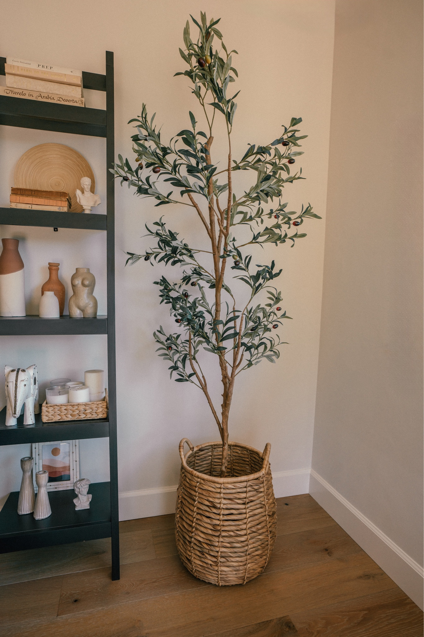 This faux olive tree is one of my favorite purchases this year. I found it on Amazon, and it looks so real. Fits in with the house decor so well! 

Amazon home decor, faux plant, faux tree, home decor

#LTKhome #LTKstyletip