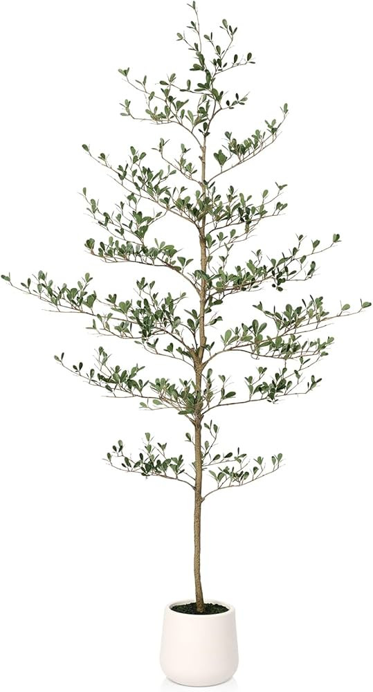 Artificial Black Olive Tree 6FT - Faux Olive Trees with Modern White Planter & Moss for Indoor Ho... | Amazon (US)