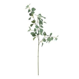 Green Eucalyptus Stem by Ashland® | Michaels | Michaels Stores