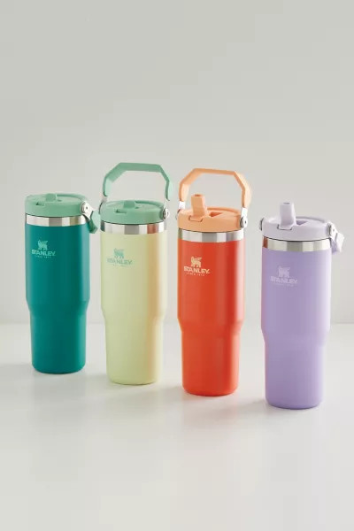 Stanley 2.0 Flip Straw 30 oz Tumbler | Urban Outfitters (US and RoW)