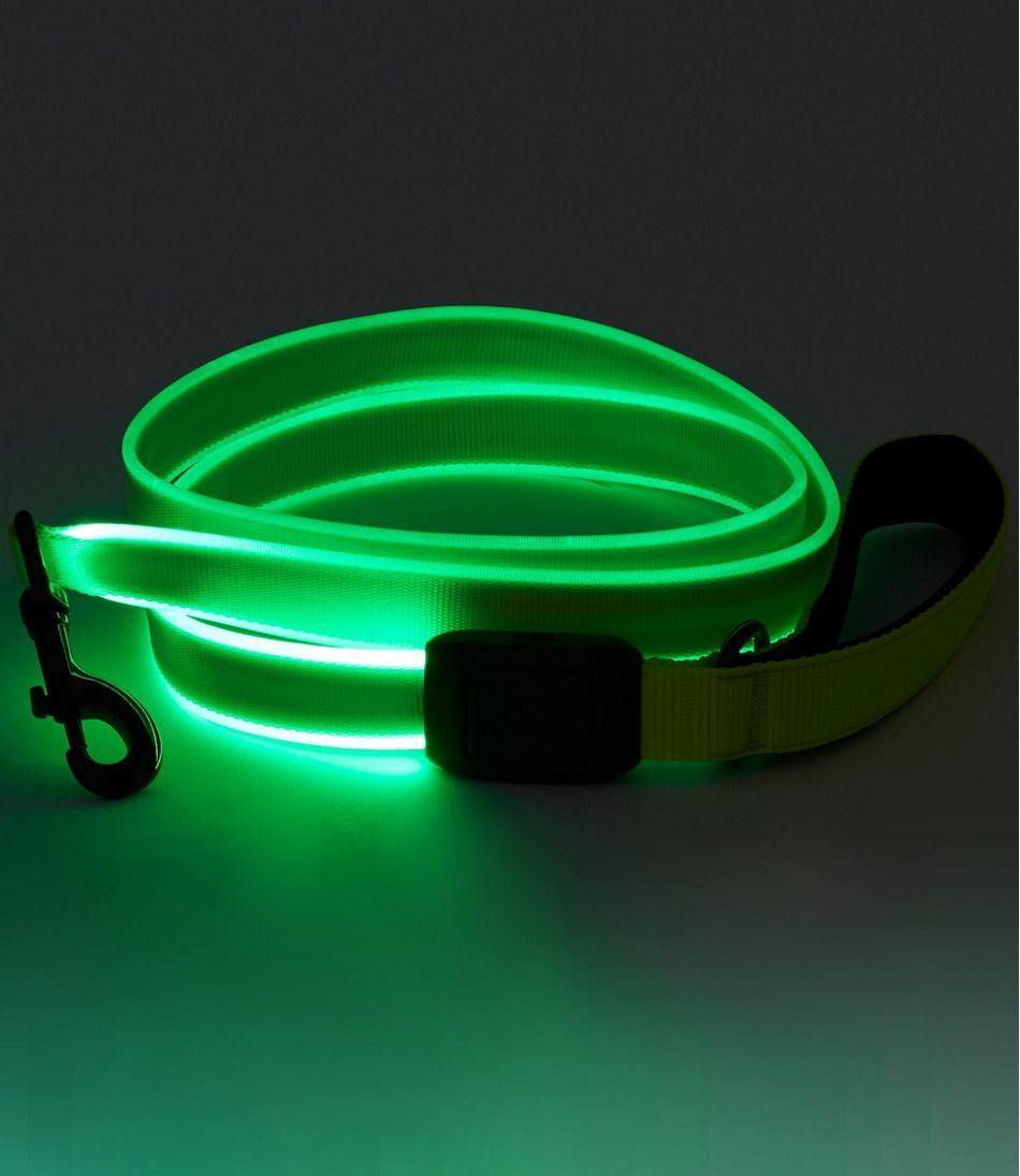 NiteDog® Rechargeable LED Dog Leash | L.L. Bean