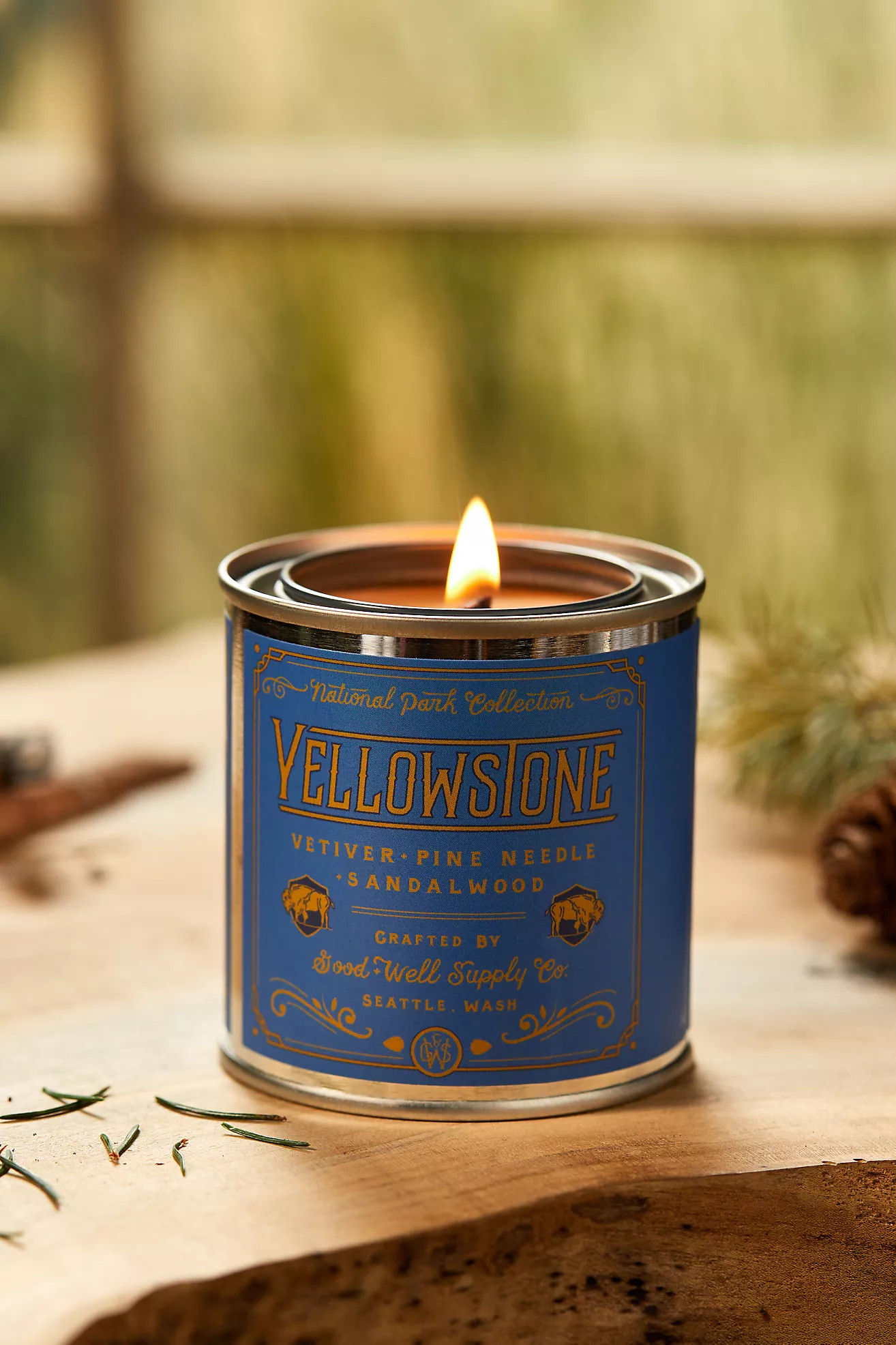National Park Tin Candle | Anthropologie (US)