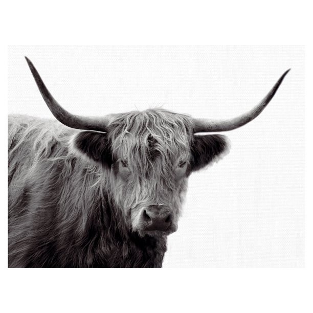 Highland Haze by Bill Phillip Highland Bull Canvas Art | Walmart (US)