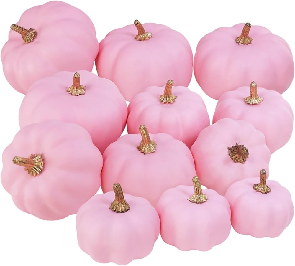 Winlyn 12 Pcs Artificial Pink Pumpkins 3 Sizes Small Fall Decorative Pumpkins Foam Pumpkins Faux ... | Amazon (US)
