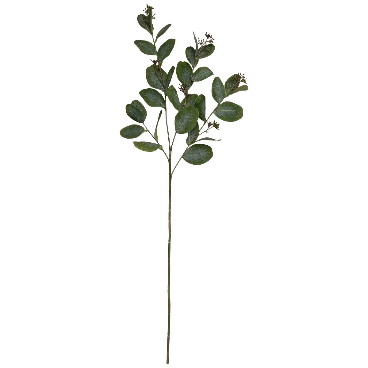 Northlight Seeded Eucalyptus Leaves Artificial Sprays - 33" - Green - Set of 6 | Target