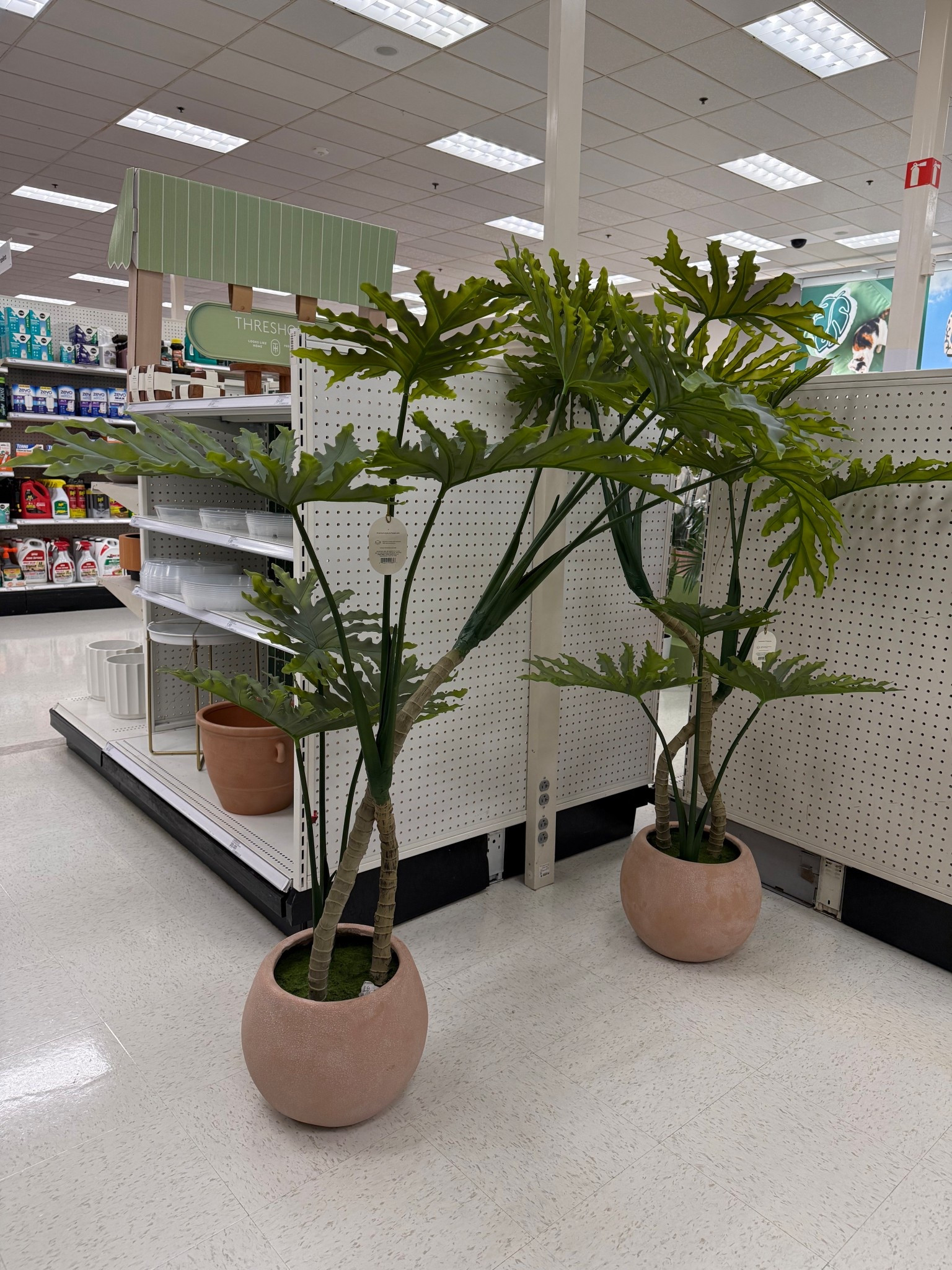 Spotted these beautiful faux trees at target! Grabbed one for my patio while they’re on sale.. love the trunk 😍 

Target home decor, faux florals, faux tree, spring decor, front porch, patio 

#LTKHome #LTKSaleAlert
