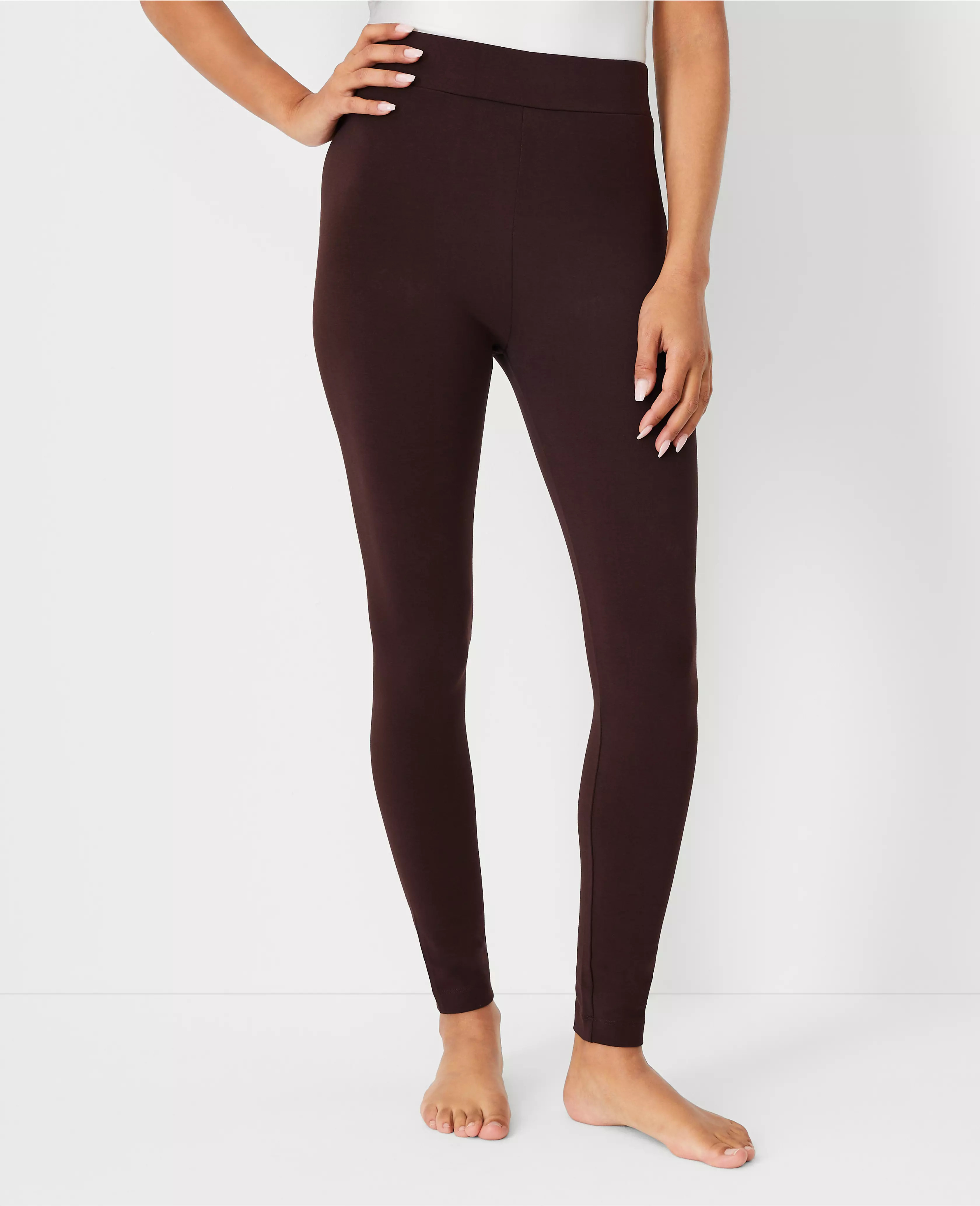 Essential Leggings | Ann Taylor