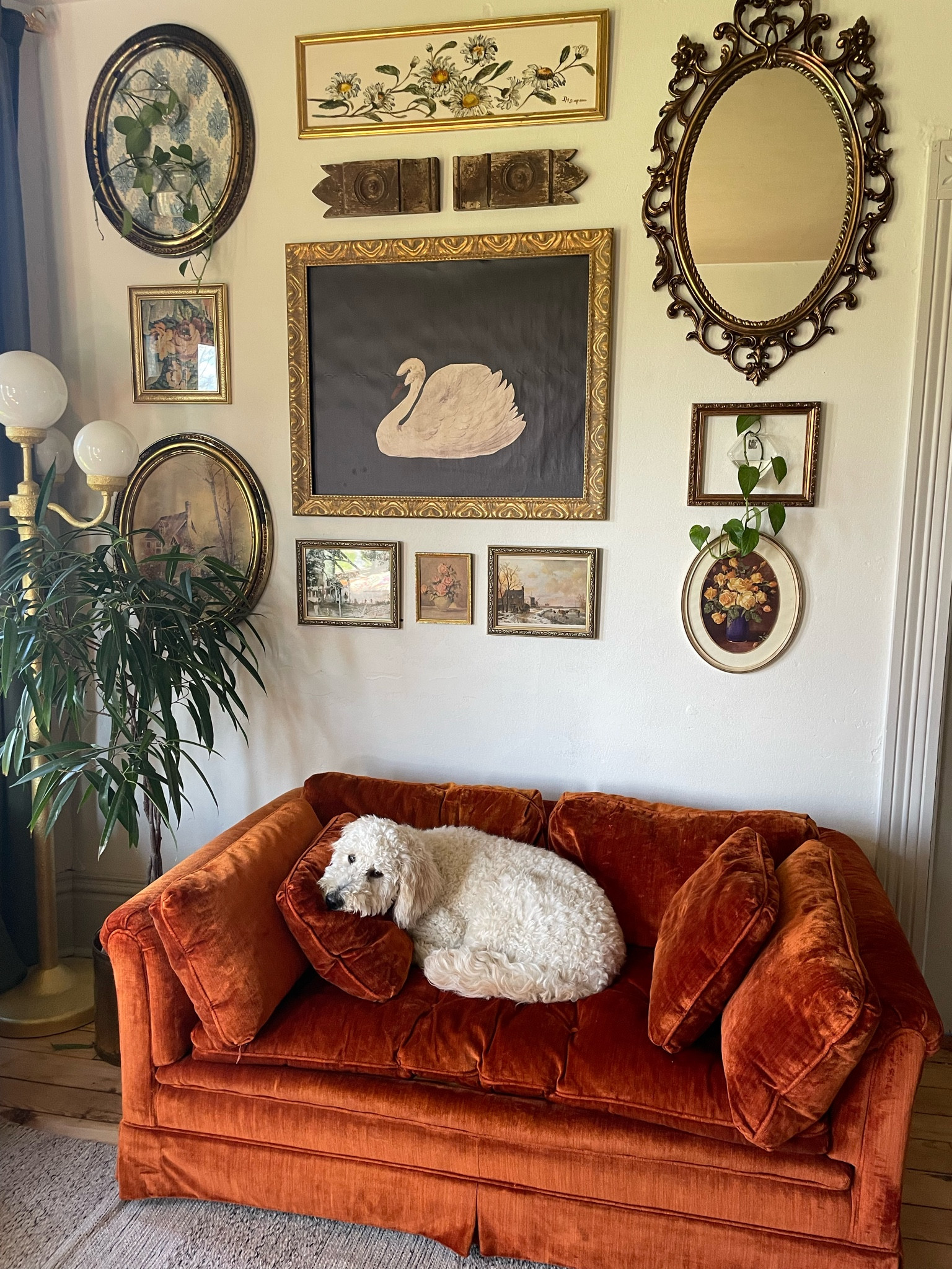 Thrifted frame with swan canvas print stapled inside:)
And propagation vases placed in empty frames.
#gallerywall #frames #emptyframes #homedecor


#LTKhome #LTKsalealert #LTKstyletip