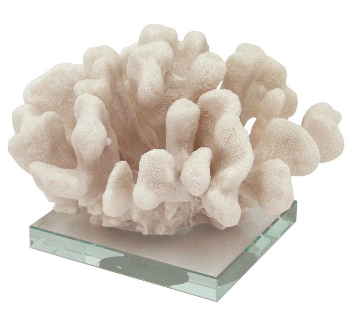 White Pocillopora Coral On Clear Glass Base | Pottery Barn (US)