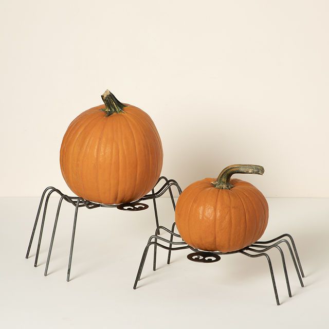 Spider Pumpkin & Flower Pot Holder | UncommonGoods