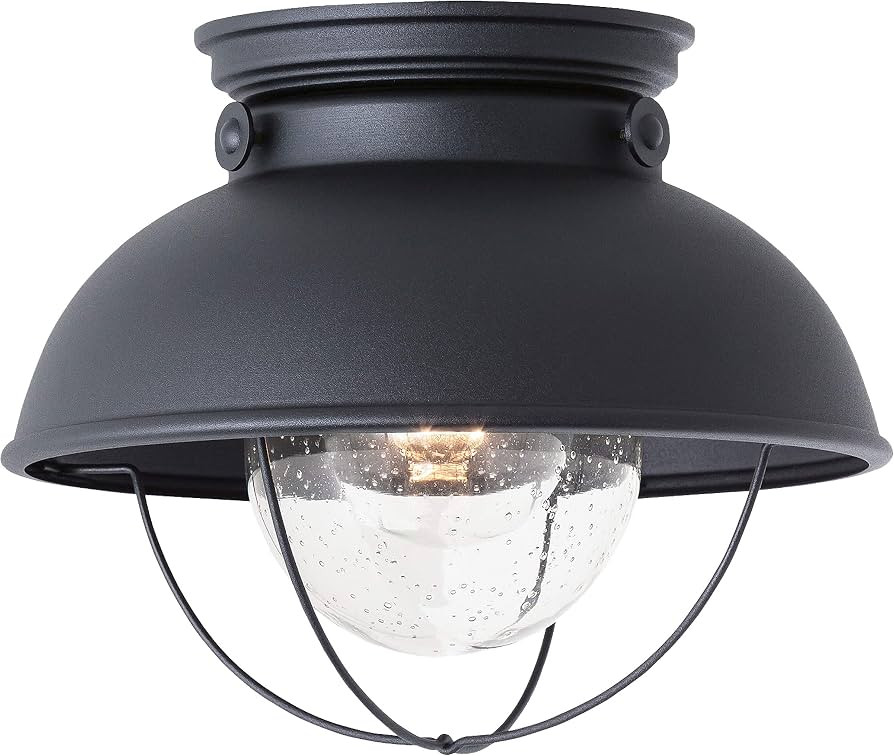 Generation Lighting 8869-12 Sebring Transitional One - Light Outdoor Ceiling Flush Mount Outside ... | Amazon (US)