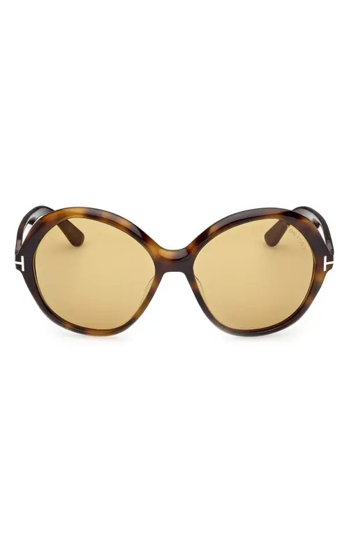 TOM FORD Annabelle 60mm Gradient Round Sunglasses in Shiny Dark Havana/Eco/Vicuna at Nordstrom | Nordstrom