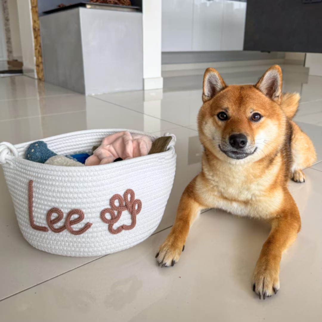 Personalized Handmade Basket • Pet Gift Basket • Pet Toy Basket • I-cord Knitting Craft •... | Etsy (US)