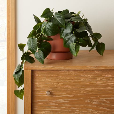 Faux Potted Green Philodendron Plant | West Elm (US)