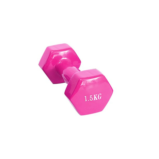 Dumbbell for Workout Men & Women Fitness Equipment Slimming Body Barbell Home Yoga Training Optio... | Walmart (US)