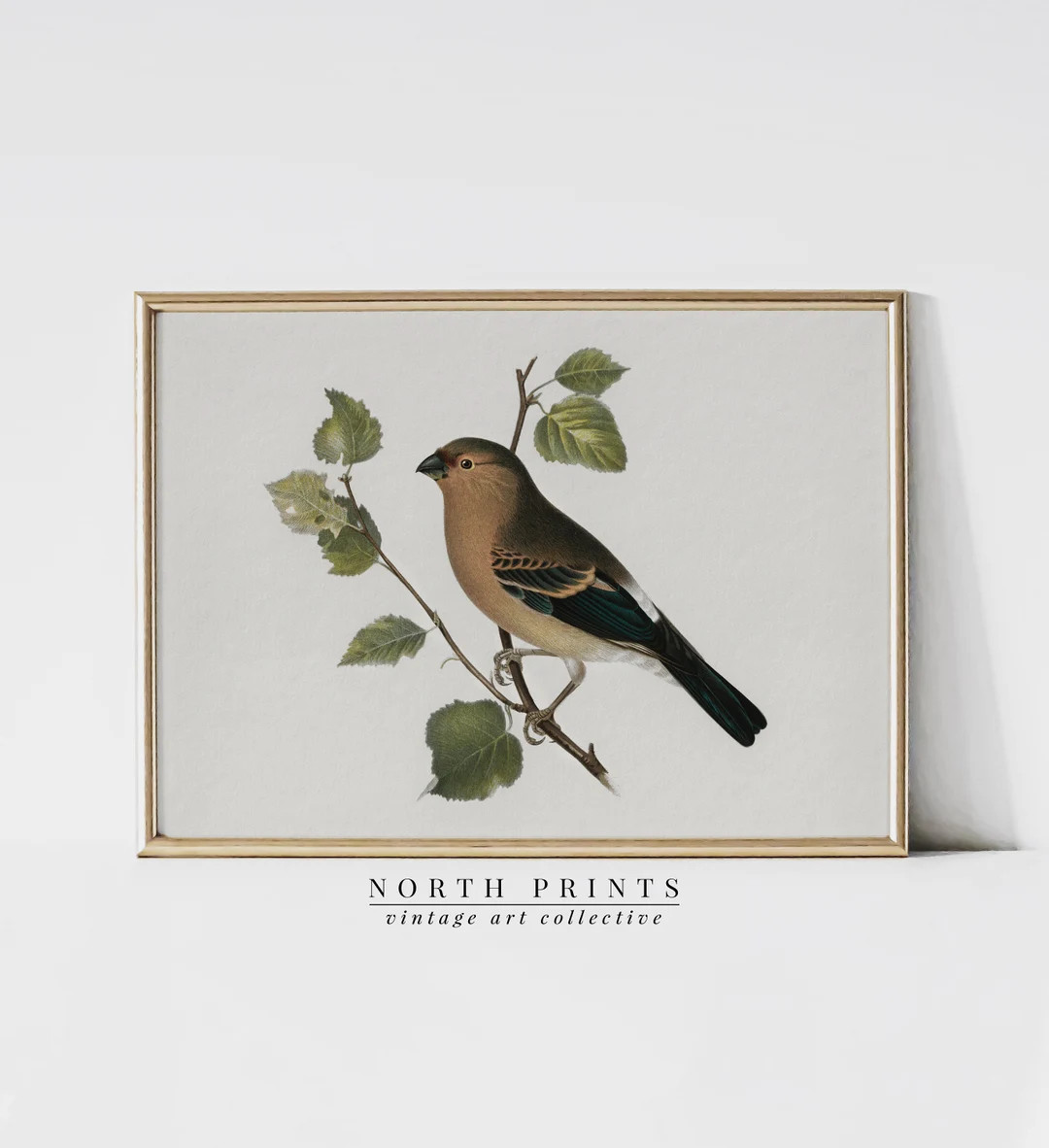 Vintage Bird Art Print  Antique Country Farmhouse Wall Decor - Etsy | Etsy (US)