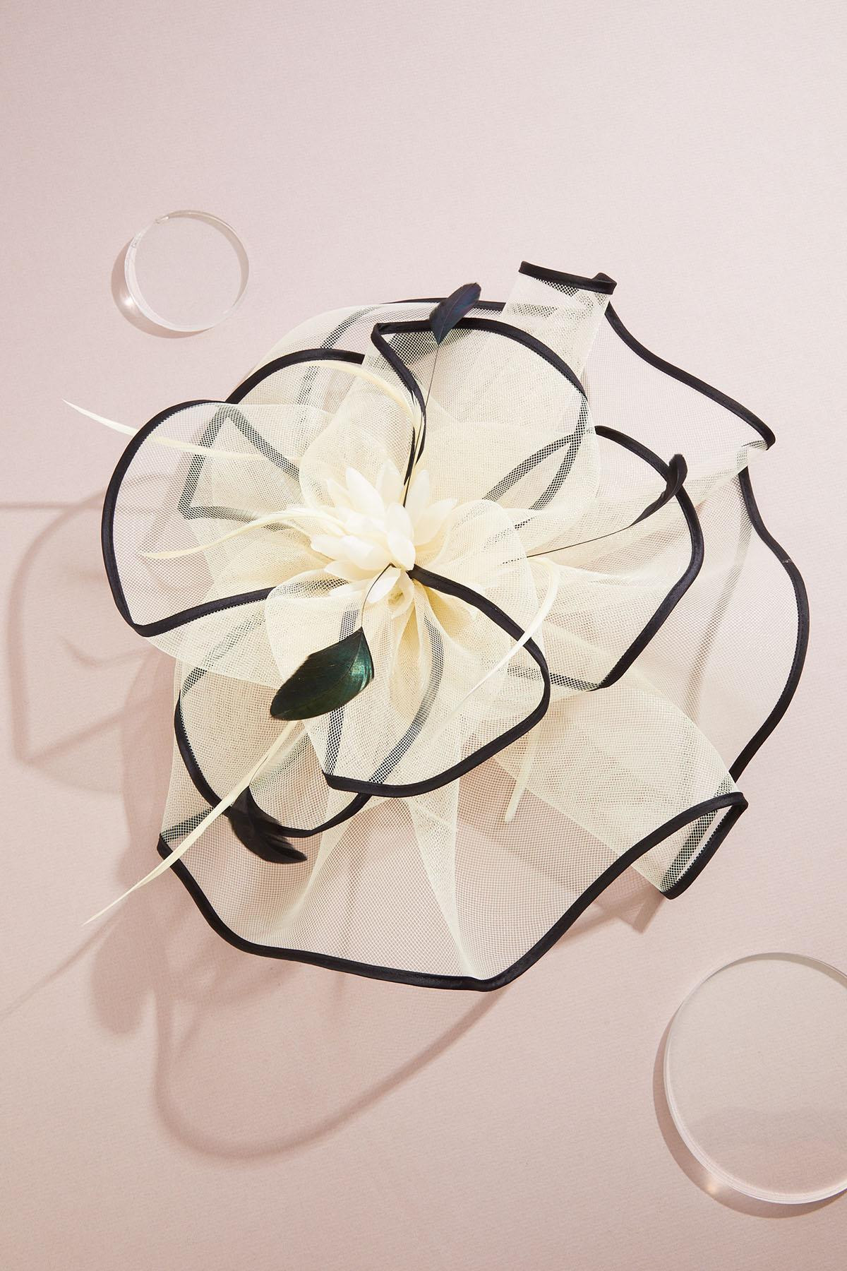 Ivory Black Trim Fascinator | Cato Fashions