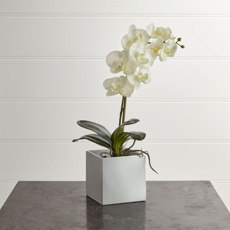 Large Artificial Orchid + Reviews | Crate and Barrel | Crate & Barrel
