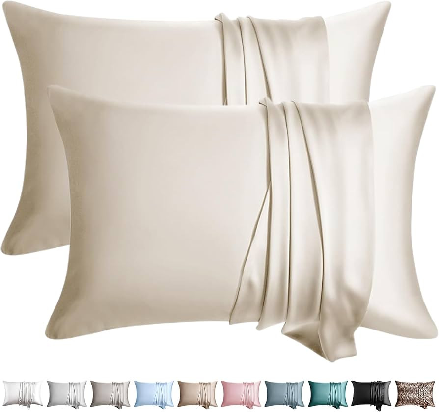 100% Silk Pillow Cases 2 Pack Queen Size Mulberry Silk Pillowcase for Hair and Skin Set of 2 High... | Amazon (US)