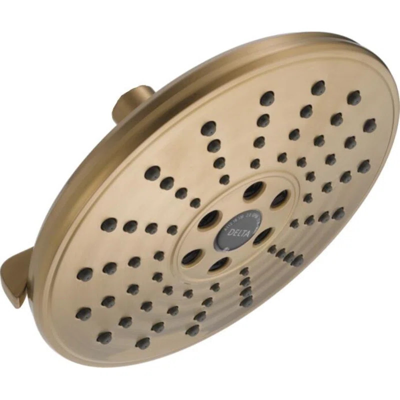 52688-CZ-PR Rain Adjustable Shower Head with H2Okinetic Technology | Wayfair North America