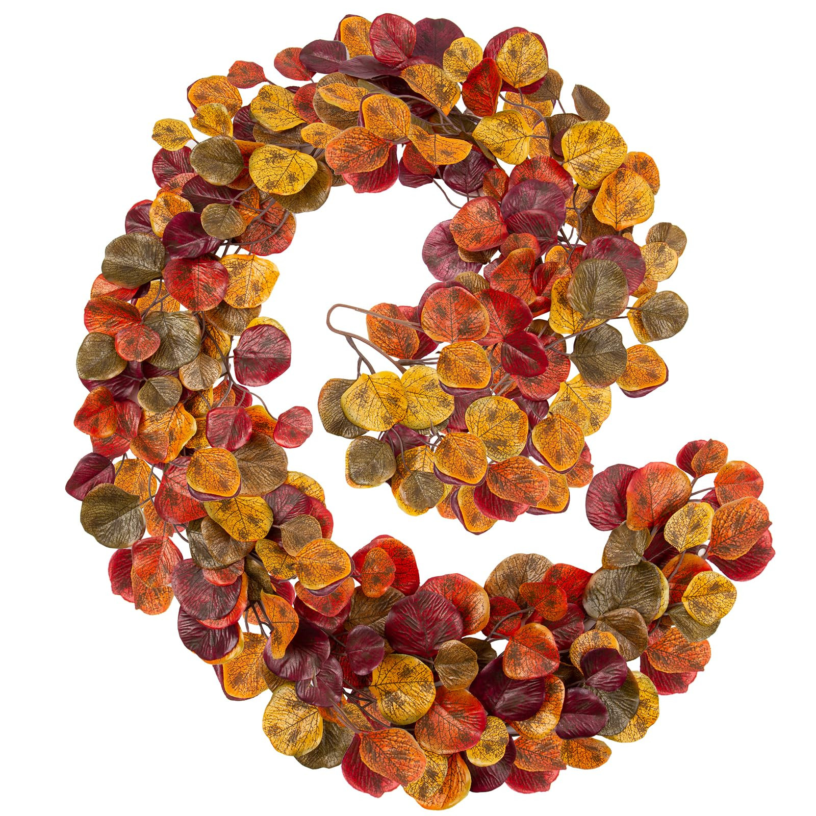 Hollyone | Amazon (US)