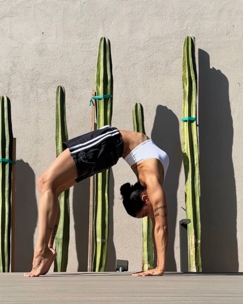 Free People Movement halter sports bra 





workout set, matching set, pilates, yoga, travel outfit, airport outfit, sculpt, FP movement, outdoor workout 

#LTKSeasonal #LTKActive #LTKFindsUnder50