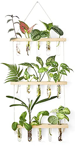 Mkono 3 Tiered Wall Hanging Plant Terrarium with Wooden Stand, Glass Planter for Hydroponic Plant Cutting, Home Garden Office Decor, Gift | Amazon (US)
