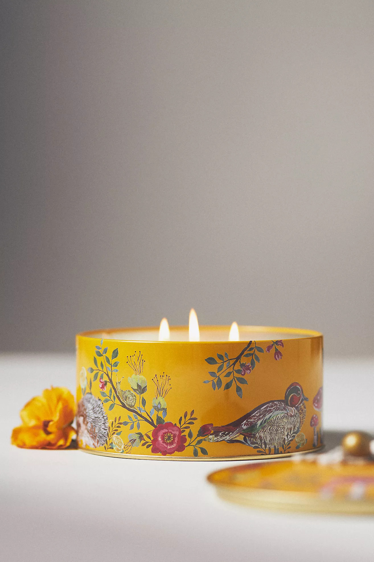 Nathalie Lete Marais Fruity Pomegranate Cider Tin Candle | Anthropologie (US)