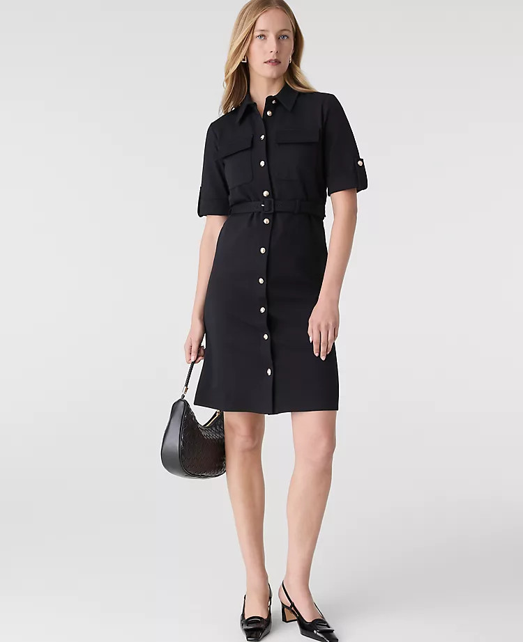Belted Flare Dress | Ann Taylor
