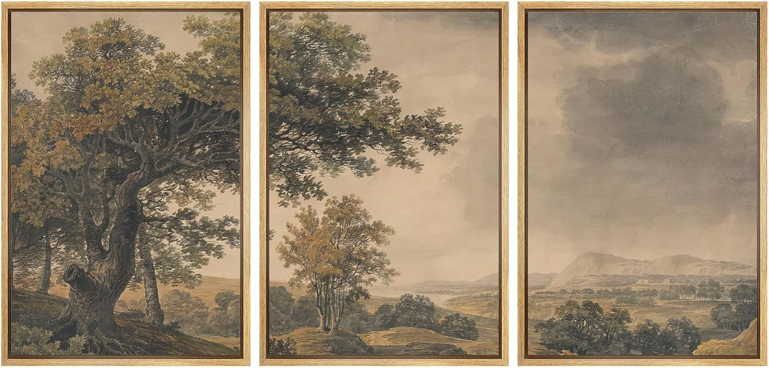 MUDECOR Framed Wall Art Print Set Vintage Landscape Rustic Tree and Mountain View Illustrations D... | Amazon (US)