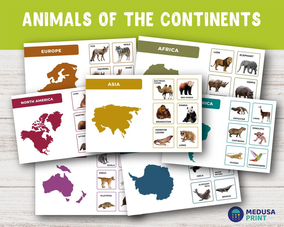 Discover Animals From Around the World: Educational Continent - Etsy | Etsy (US)