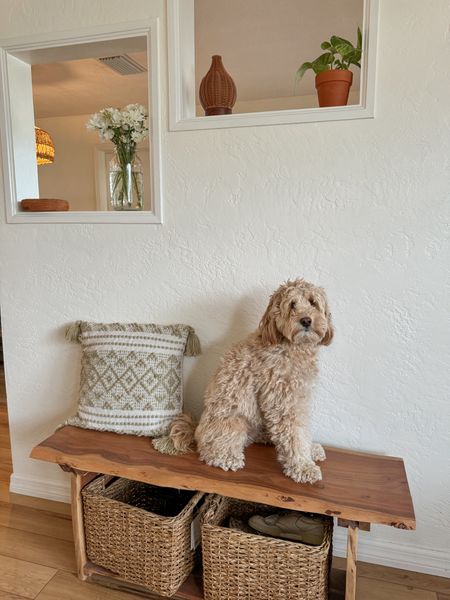 some home finds modeled by Millie 🏡

#LTKhome