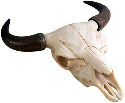 Resin Steer Skull Rustic Wall Head Mount 11.75 Inch | Amazon (US)