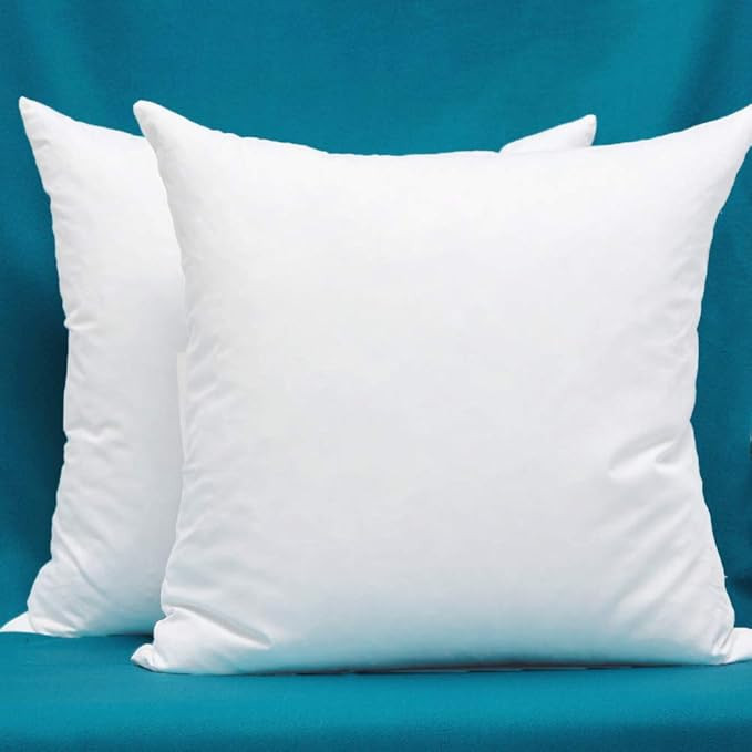 Set of 2, Cotton Fabric Pillow Inserts, Filled with Down and Feather Decorative Throw Pillows Ins... | Amazon (US)